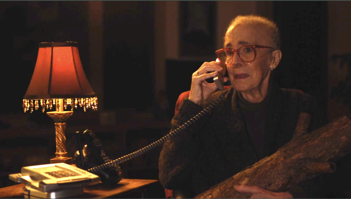 the-log-lady-the-return